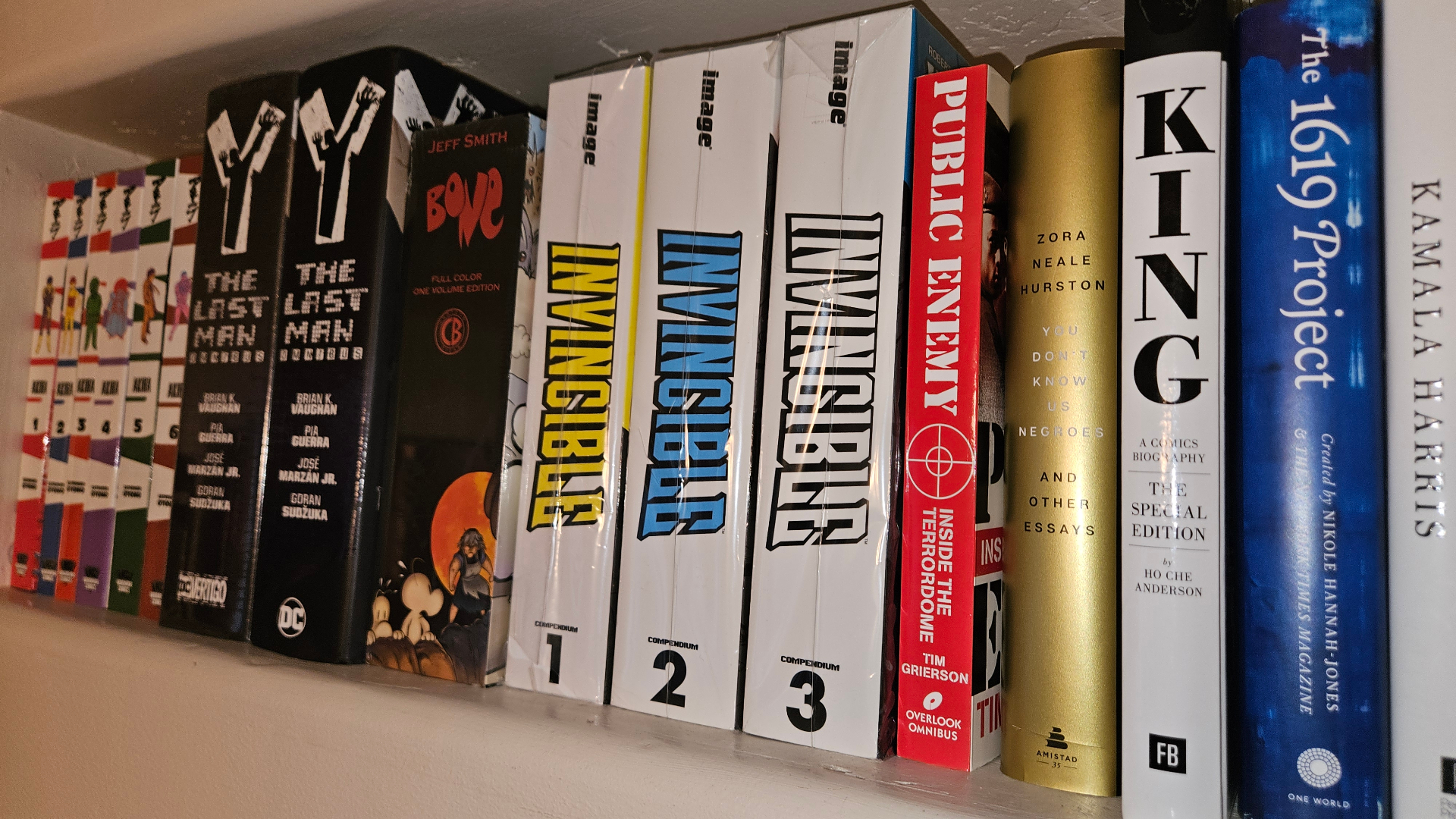 Collector bookshelf with art and history titles.
